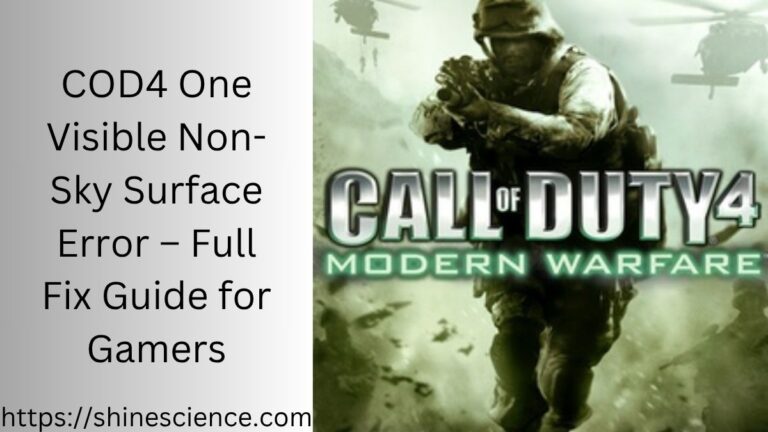 COD4 One Visible Non-Sky Surface Error