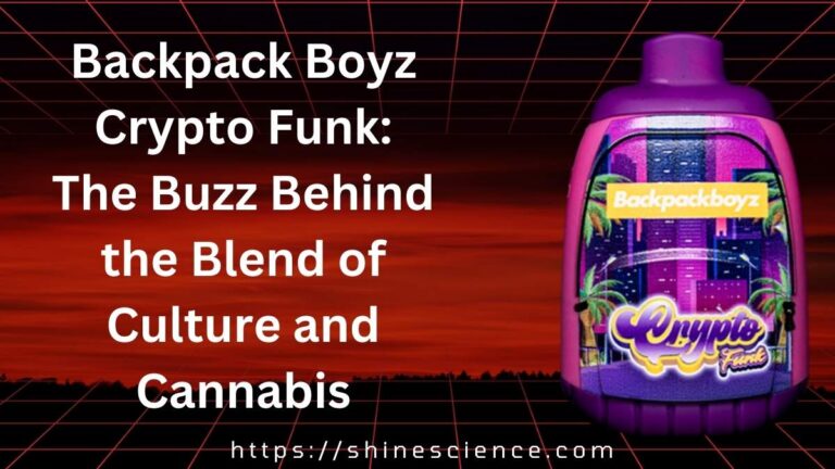 Backpack Boyz Crypto Funk