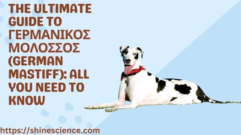 γερμανικοσ μολοσσοσ